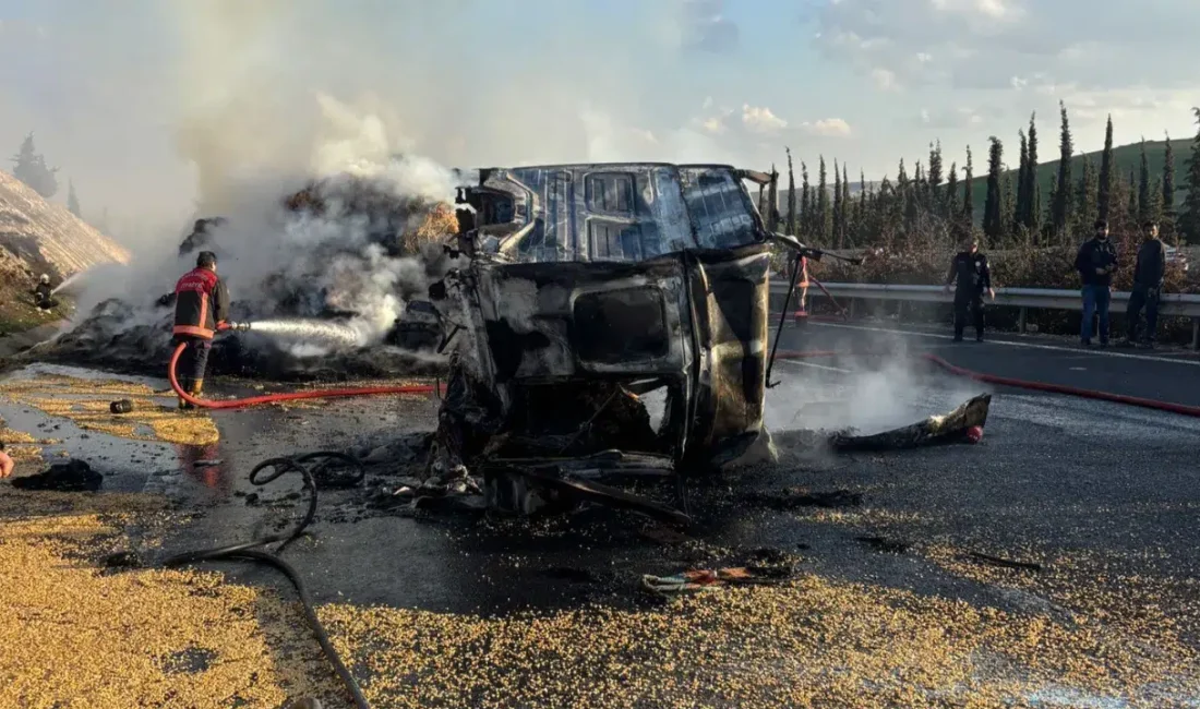 Şanlıurfa-Viranşehir kara yolunda seyir halindeki iki tırın çarpışmasıyla ortalık savaş
