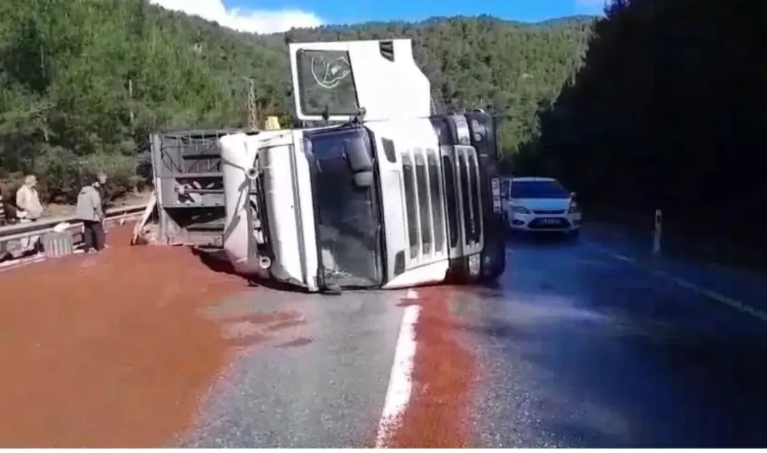 Antalya’nın Akseki ilçesinde peyzaj malzemesi taşıyan bir tırın virajda kontrolden