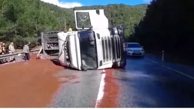 Antalya’nın Akseki ilçesinde peyzaj malzemesi taşıyan bir tırın virajda kontrolden