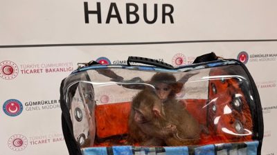 Ticaret Bakanlığı ekiplerinin 2025 yılı boyunca sınır hatlarında yürüttüğü titiz