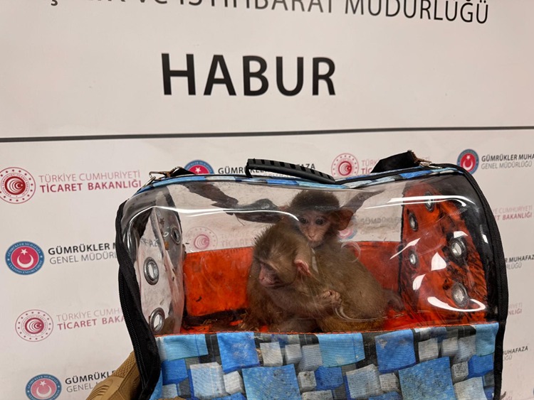 Ticaret Bakanlığı ekiplerinin 2025 yılı boyunca sınır hatlarında yürüttüğü titiz