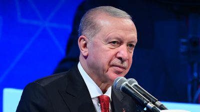 Cumhurbaşkanı Recep Tayyip Erdoğan, Milli Dayanışma, Kardeşlik ve Demokrasi Komisyonu