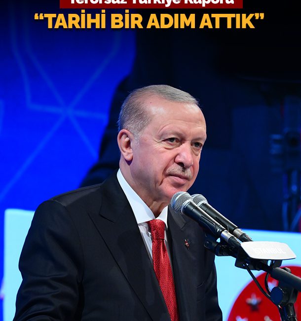 Cumhurbaşkanı Recep Tayyip Erdoğan, Milli Dayanışma, Kardeşlik ve Demokrasi Komisyonu