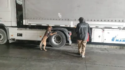 Hatay’ın Hassa ilçesinde gerçekleştirilen titiz narkotik operasyonunda, bir kamyonetin kasasında