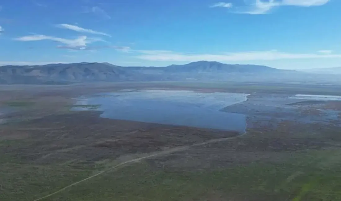 Manisa’nın bereketli topraklarına can veren ancak son 5 yıldır tamamen