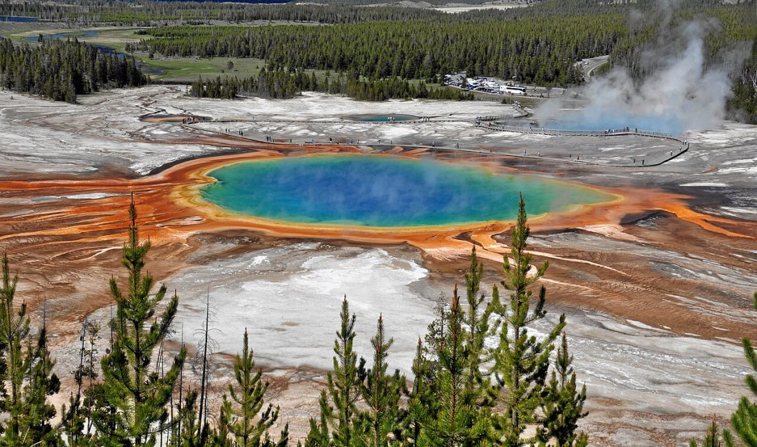 Bilim dünyasını şaşkına çeviren yeni bir araştırma, sarsıntıların sadece yıkıma