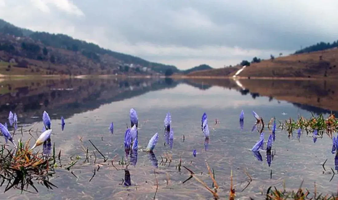 Kışın dondurucu etkilerini geride bırakmaya hazırlanan vatandaşların merakla beklediği baharın