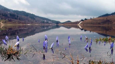 Kışın dondurucu etkilerini geride bırakmaya hazırlanan vatandaşların merakla beklediği baharın