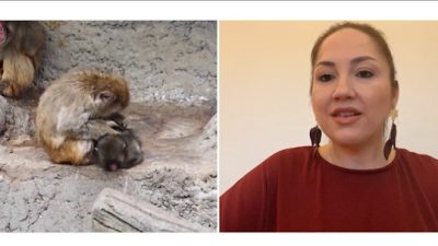 Sosyal medyada geniş kitlelere ulaşan ve herkesin ortak bir acıda