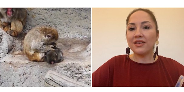 Sosyal medyada paylaşılan görüntülerle kısa sürede milyonların sevgisini ve üzüntüsünü