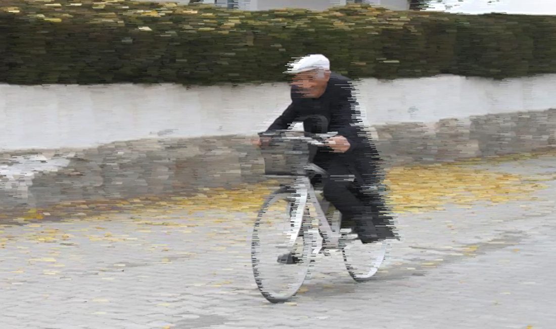 Bursa’nın İnegöl ilçesinde bisikletiyle seyir halindeyken dengesini kaybedip düşen 71
