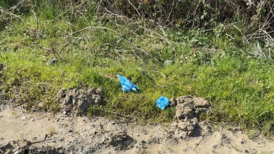 İstanbul’da 24 Ocak tarihinden bu yana kendisinden haber alınamayan Çinli