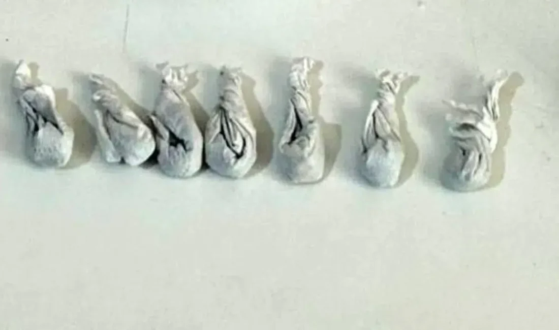 Tekirdağ İl Emniyet Müdürlüğü ekiplerinin Süleymanpaşa ve Çorlu ilçelerinde gerçekleştirdiği