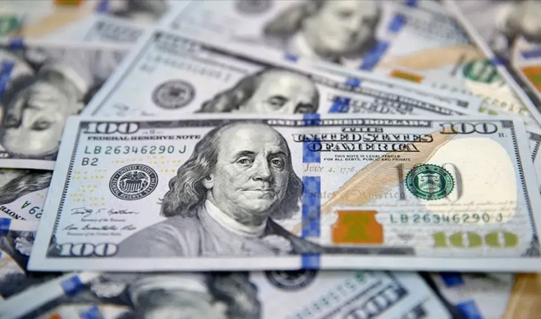 Türkiye Cumhuriyet Merkez Bankası (TCMB), finansal kesim dışındaki firmaların döviz