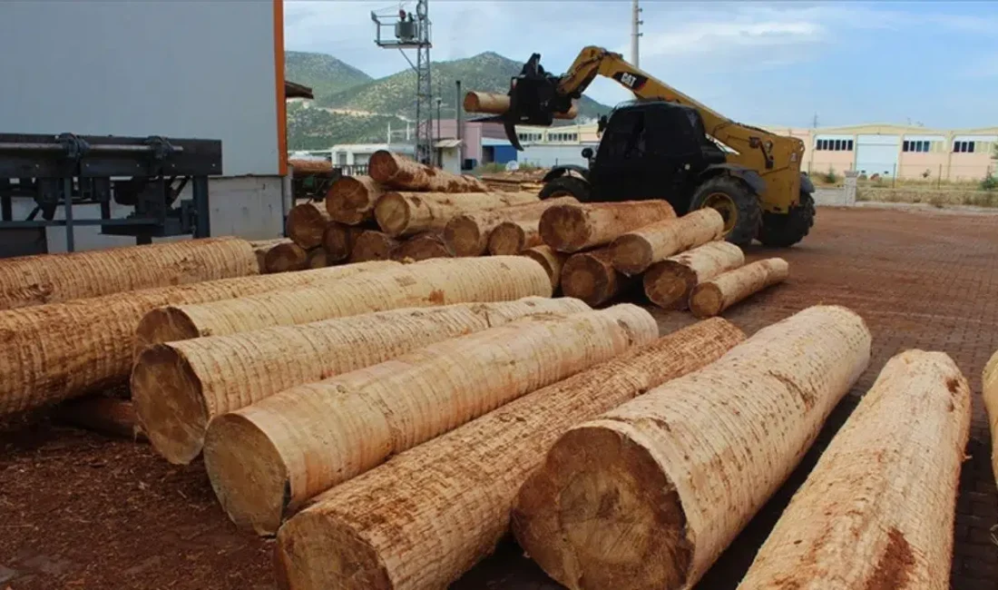 Kütahya’nın Simav ilçesinde bulunan bir kereste atölyesinde meydana gelen iş