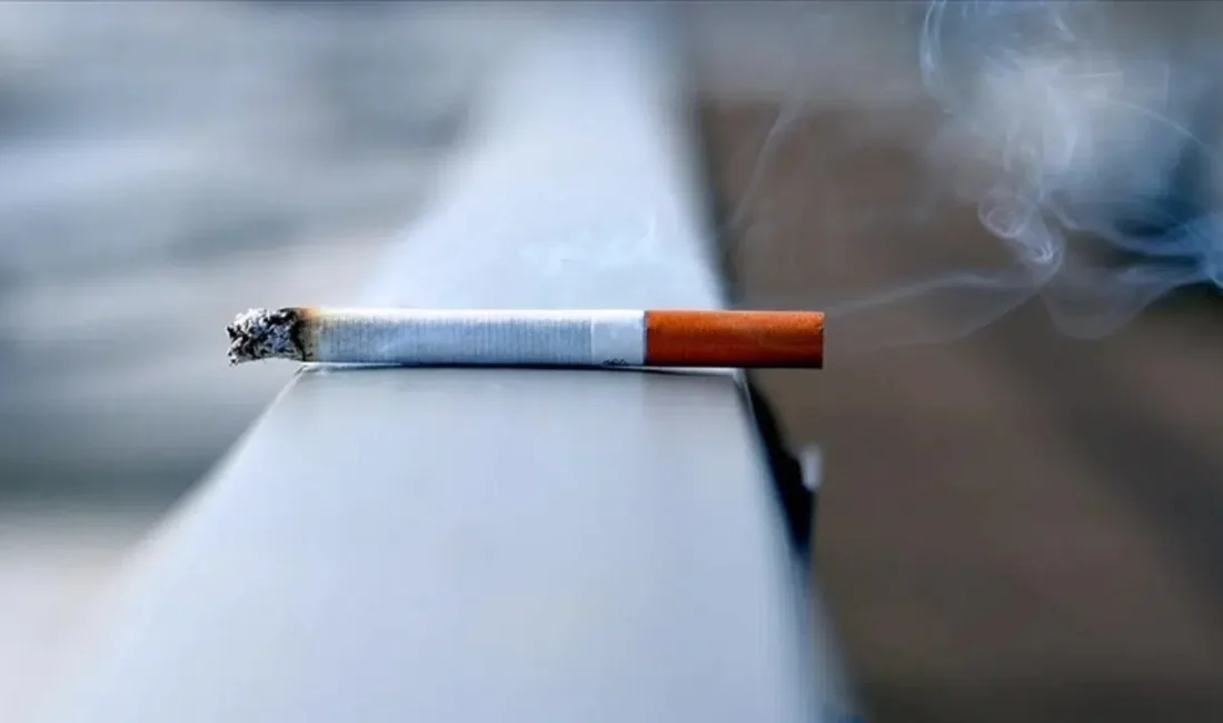 Dünya Sağlık Örgütü (DSÖ) tarafından paylaşılan güncel veriler küresel ölçekte