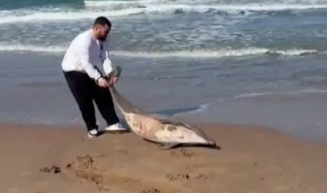 İstanbul’un Şile ilçesindeki Sofular Sahili’nde sabah saatlerinde yürüyüşe çıkan vatandaşlar,