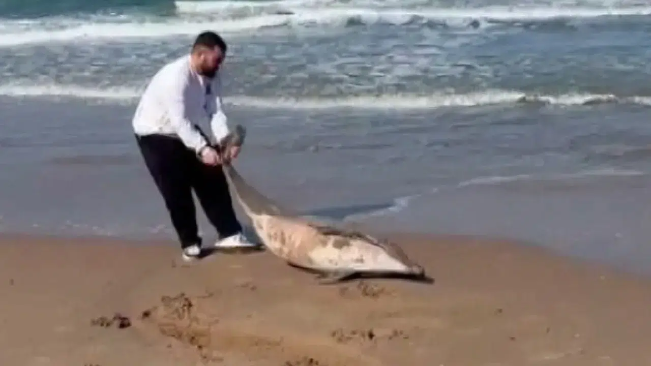 İstanbul’un Şile ilçesindeki Sofular Sahili’nde sabah saatlerinde yürüyüşe çıkan vatandaşlar,