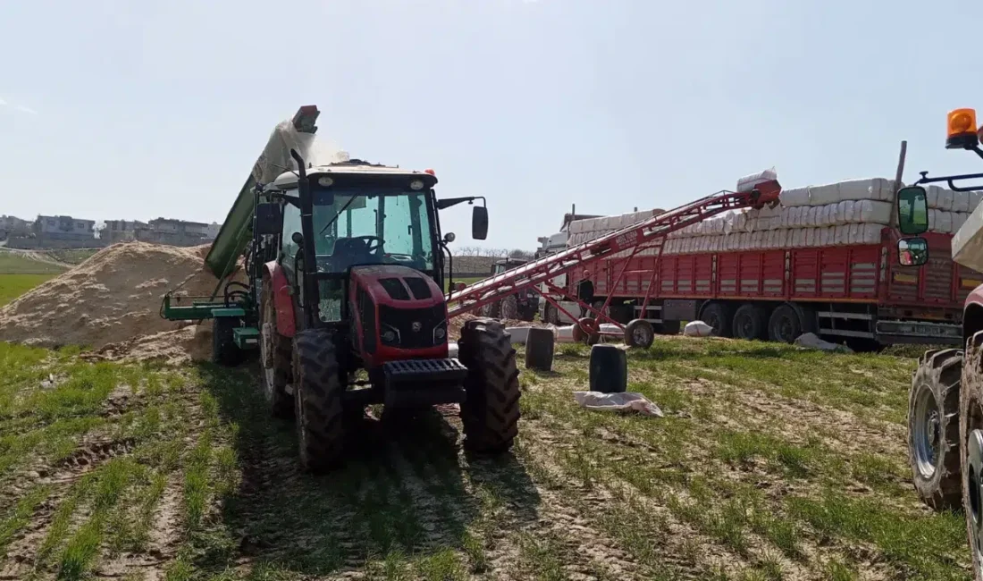 Siirt’in Kurtalan ilçesinde sabah saatlerinde meydana gelen akılalmaz olayda, saman