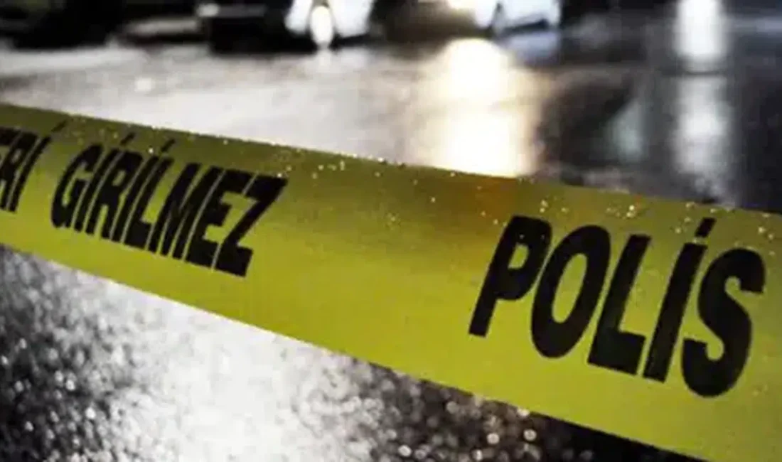 Anadolu Otoyolu’nun Düzce kesiminde seyir halindeyken direksiyon hakimiyetini kaybeden bir