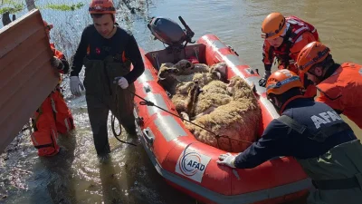 Edirne merkeze bağlı Bosna köyünde aniden yükselen su seviyesi küçükbaş