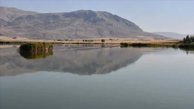 Sivas’ta geçen yıl yaşanan şiddetli kuraklık sonrası yok olma tehlikesiyle