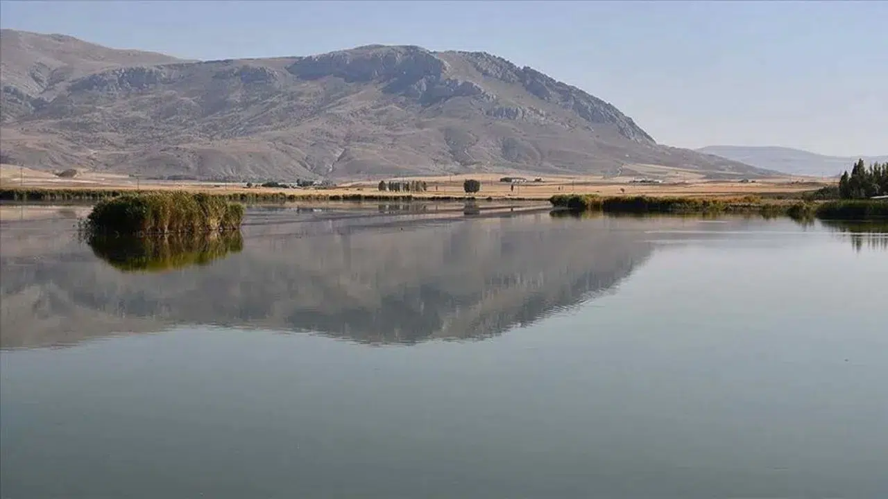 Sivas’ta geçen yıl yaşanan şiddetli kuraklık sonrası yok olma tehlikesiyle
