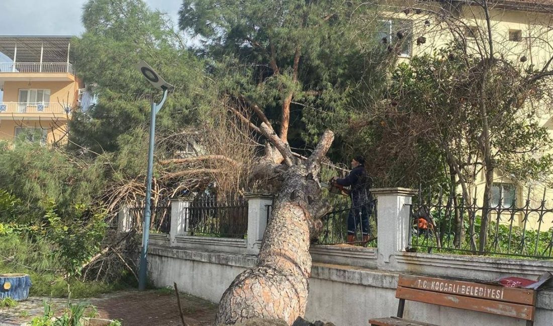 Aydın’ın Koçarlı ilçesinde aniden bastıran şiddetli fırtına büyük bir tehlikeyi