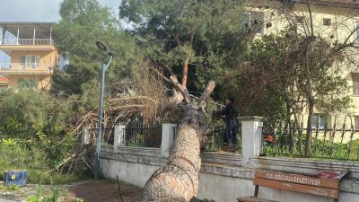 Aydın’ın Koçarlı ilçesinde aniden bastıran şiddetli fırtına büyük bir tehlikeyi
