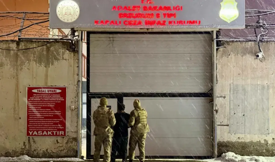 Erzurum ve Bitlis merkezli gerçekleştirilen eş zamanlı jandarma operasyonlarında, düzensiz