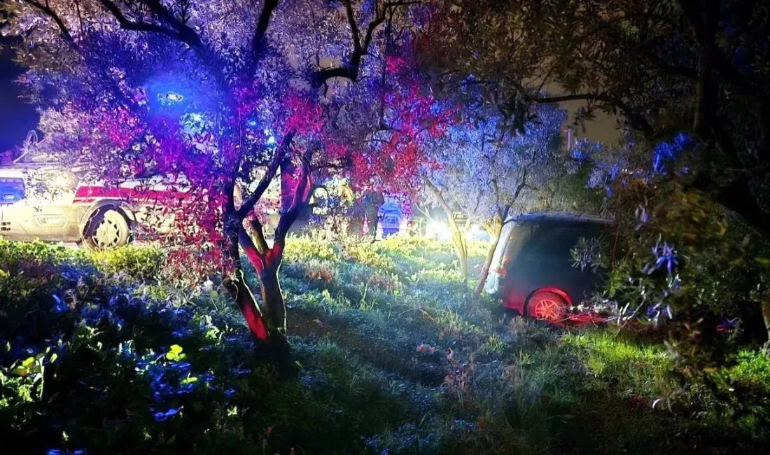 Bursa’nın Mudanya ilçesinde, önündeki araca çarpmamak için hamle yapan sürücü