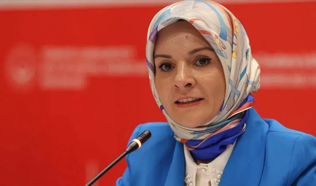 Aile ve Sosyal Hizmetler Bakanı Mahinur Özdemir Göktaş, Birleşmiş Milletler