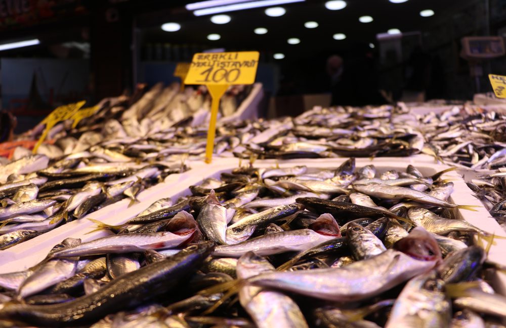 Trabzon’un Moloz mevkisindeki balıkçı tezgahlarında hamsi ve istavrit rüzgarı esiyor.