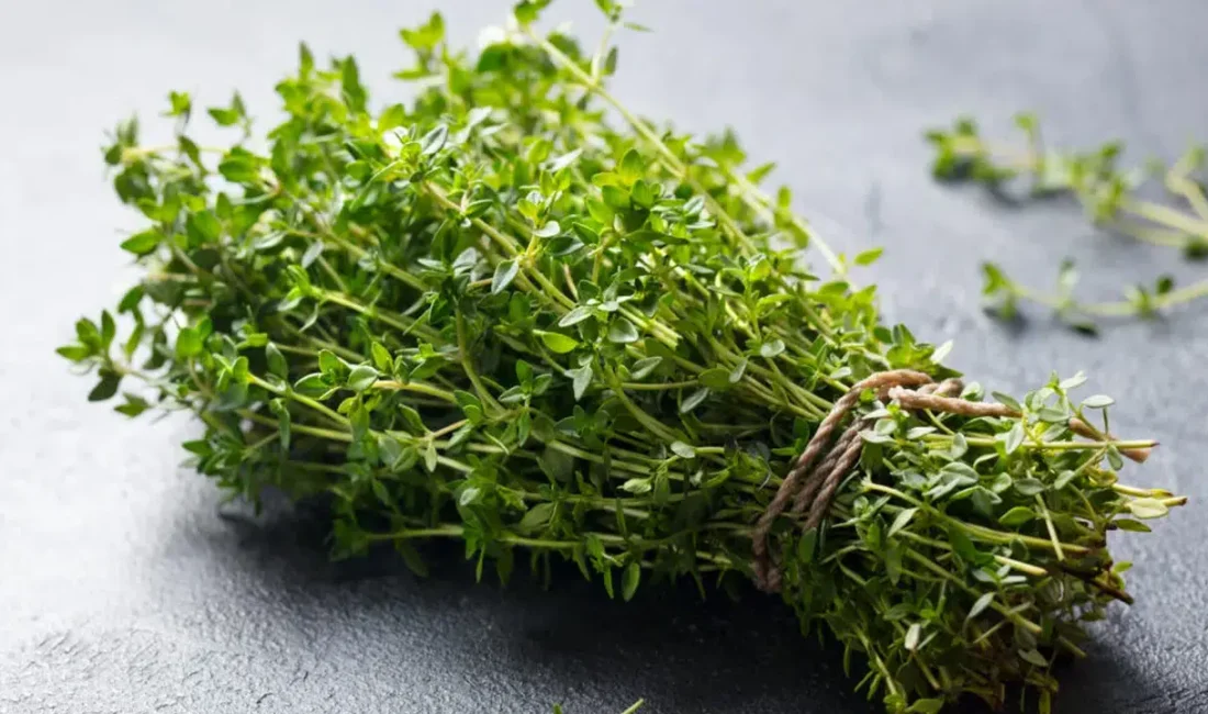 Yemeklere tat veren basit bir baharat olmanın çok ötesine geçen