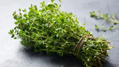 Yemeklere tat veren basit bir baharat olmanın çok ötesine geçen