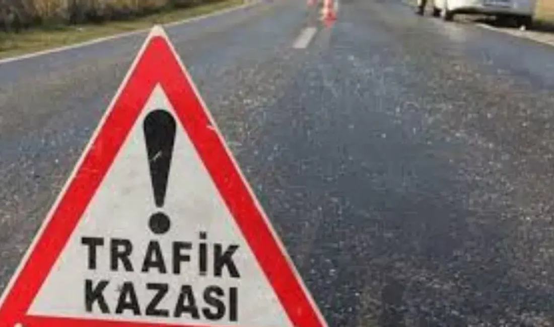 Muğla’nın Bodrum ilçesinde kontrolden çıkan bir otomobilin süratle bir iş