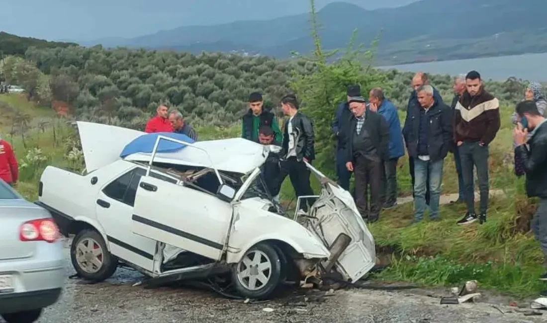 Manisa’nın Alaşehir ilçesinde otomobil ile canlı hayvan taşıyan tırın çarpışması