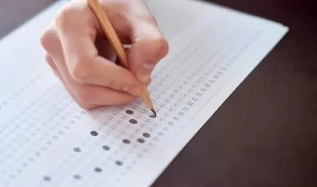 Yabancı dil bilgisini akademik kariyer veya kamu personeli yükselme süreçlerinde