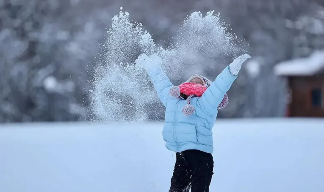 Hakkari genelinde etkisini artıran yoğun kar yağışı hayatı olumsuz etkilerken