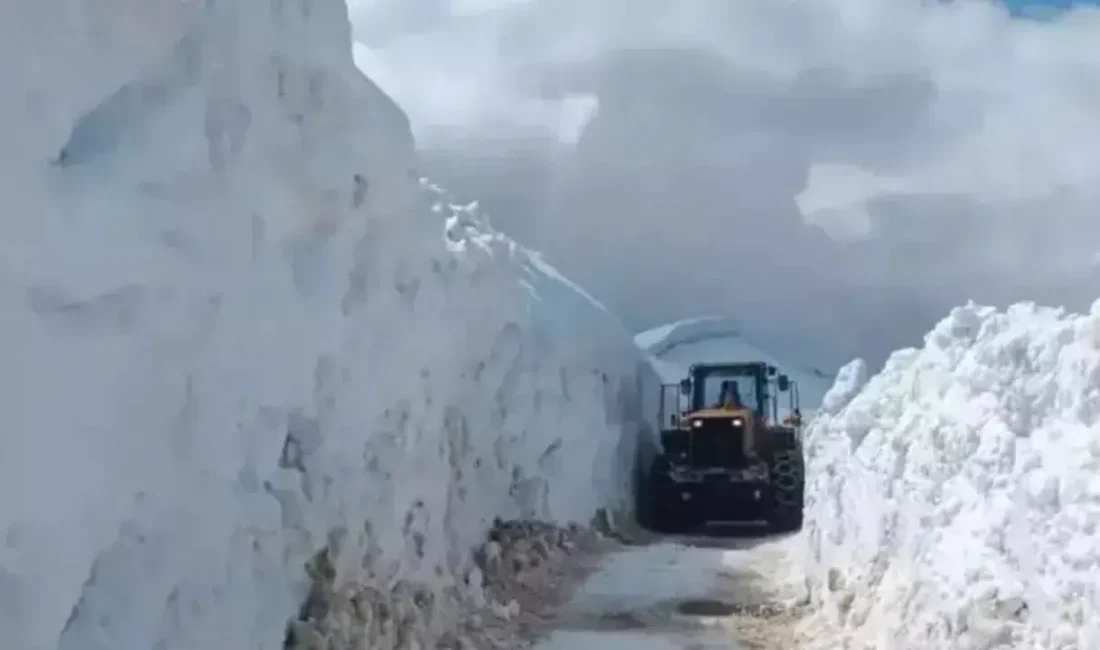 Bitlis ve çevresinde etkisini artıran olumsuz hava koşulları ulaşımda büyük