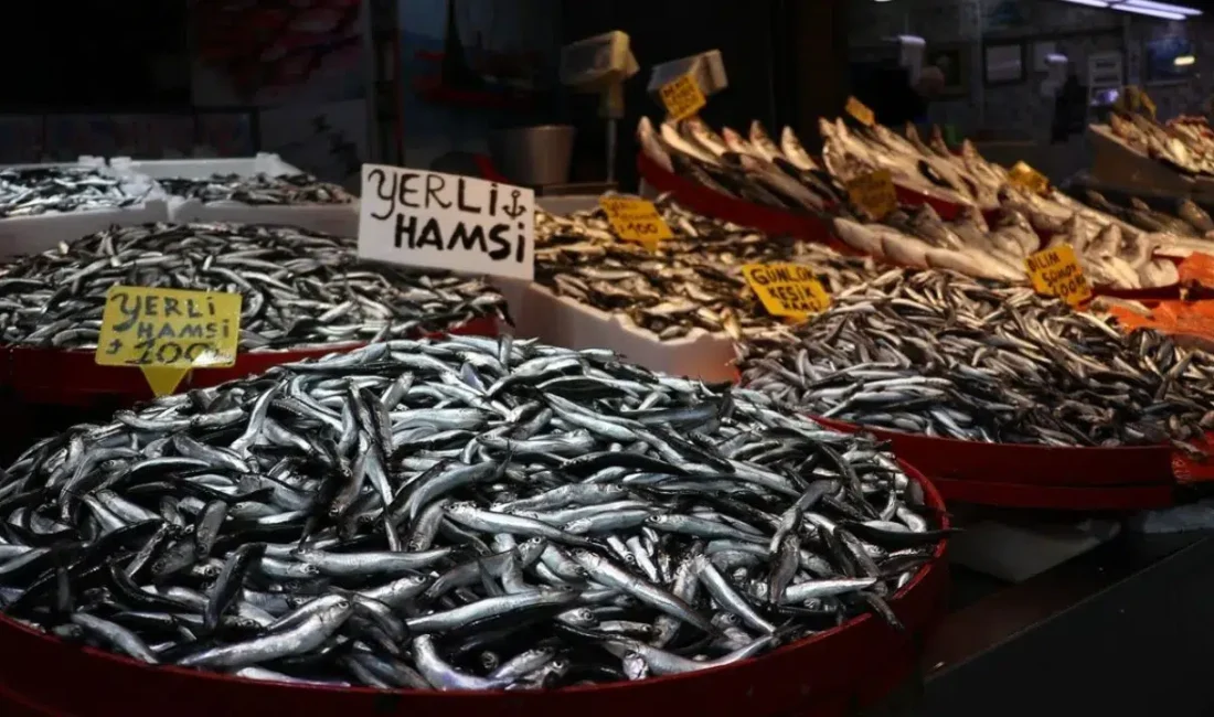 Karadeniz’in gözbebeği hamsi uzun bir aranın ardından Trabzon tezgahlarında yeniden