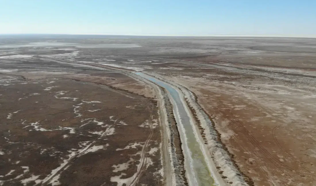Konya Teknik Üniversitesi tarafından yürütülen ve TÜBİTAK tarafından desteklenen çarpıcı