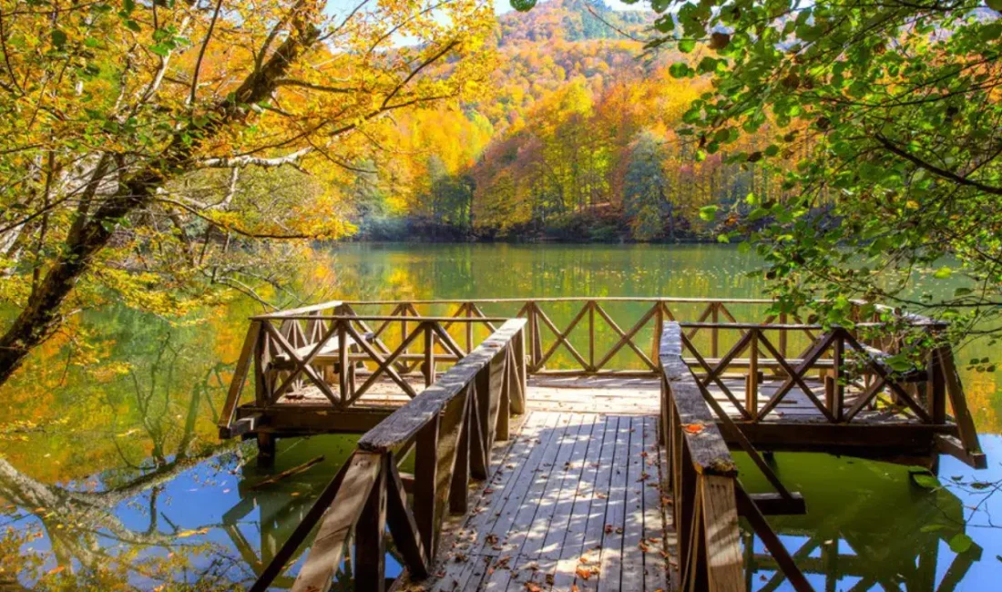 Türkiye genelindeki milli parkların korunması ve yönetilmesine dair beklenen kritik