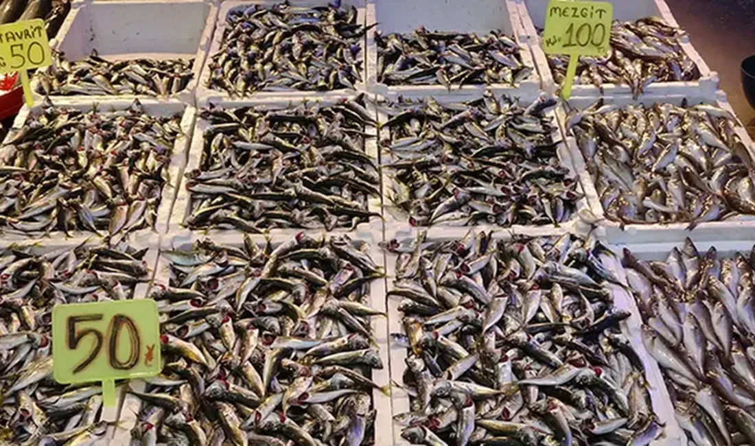 Denizlerde 15 Nisan itibarıyla uygulanacak olan av yasağına sayılı günler