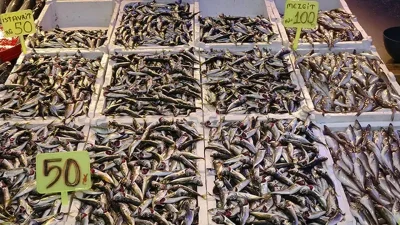 Denizlerde 15 Nisan itibarıyla uygulanacak olan av yasağına sayılı günler