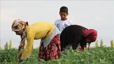 Türkiye genelinde tarım sektöründe çalışan binlerce işçiyi yakından ilgilendiren 2025