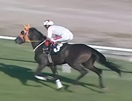 Mersin’de belediye aşevinde dağıtılan kavurmanın içinden çıkan elektronik çip, Türkiye’yi