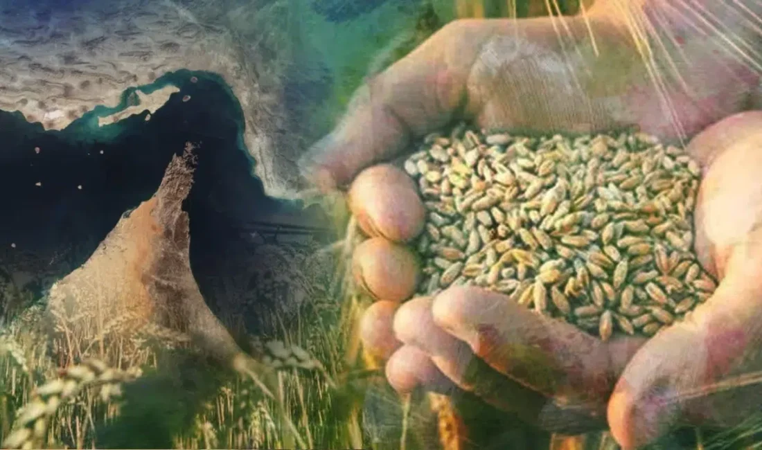 İran’da devam eden askeri hareketlilik ve bölgedeki istikrarsızlık, küresel tarım