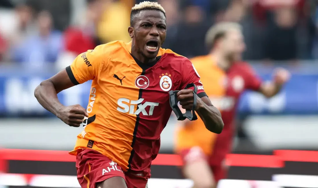 Karadeniz Bölgesi’nin en temel geçim kaynakları arasında yer alan fındıkta