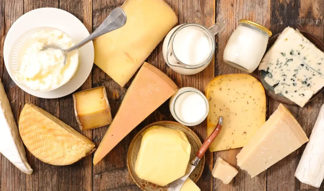 Tüm Süt, Et ve Damızlık Sığır Yetiştiricileri Derneği (TÜSEDAD) tarafından